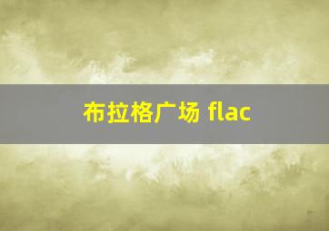 布拉格广场 flac